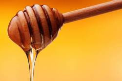 Visita y degustación de miel en Cooperativa Reina Kilama